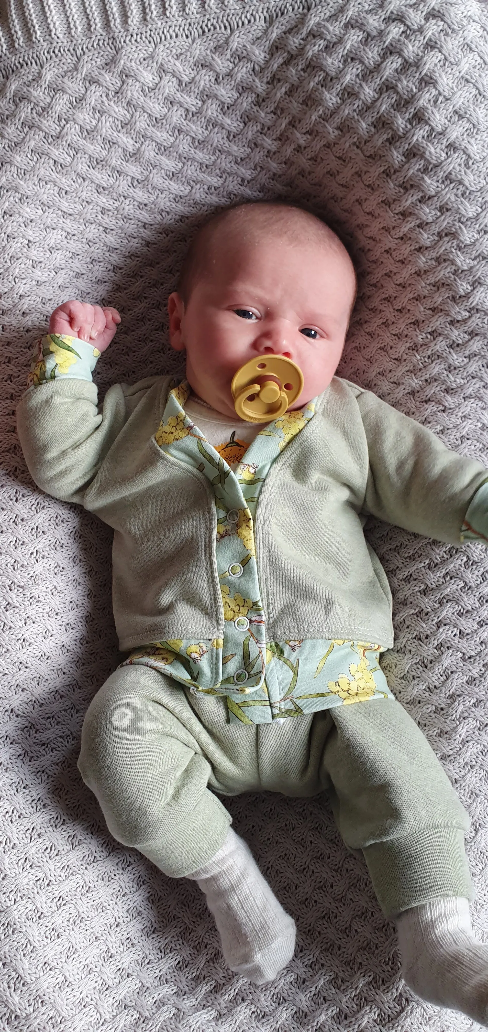 Baby Basics - Knit - Papa Cardigan