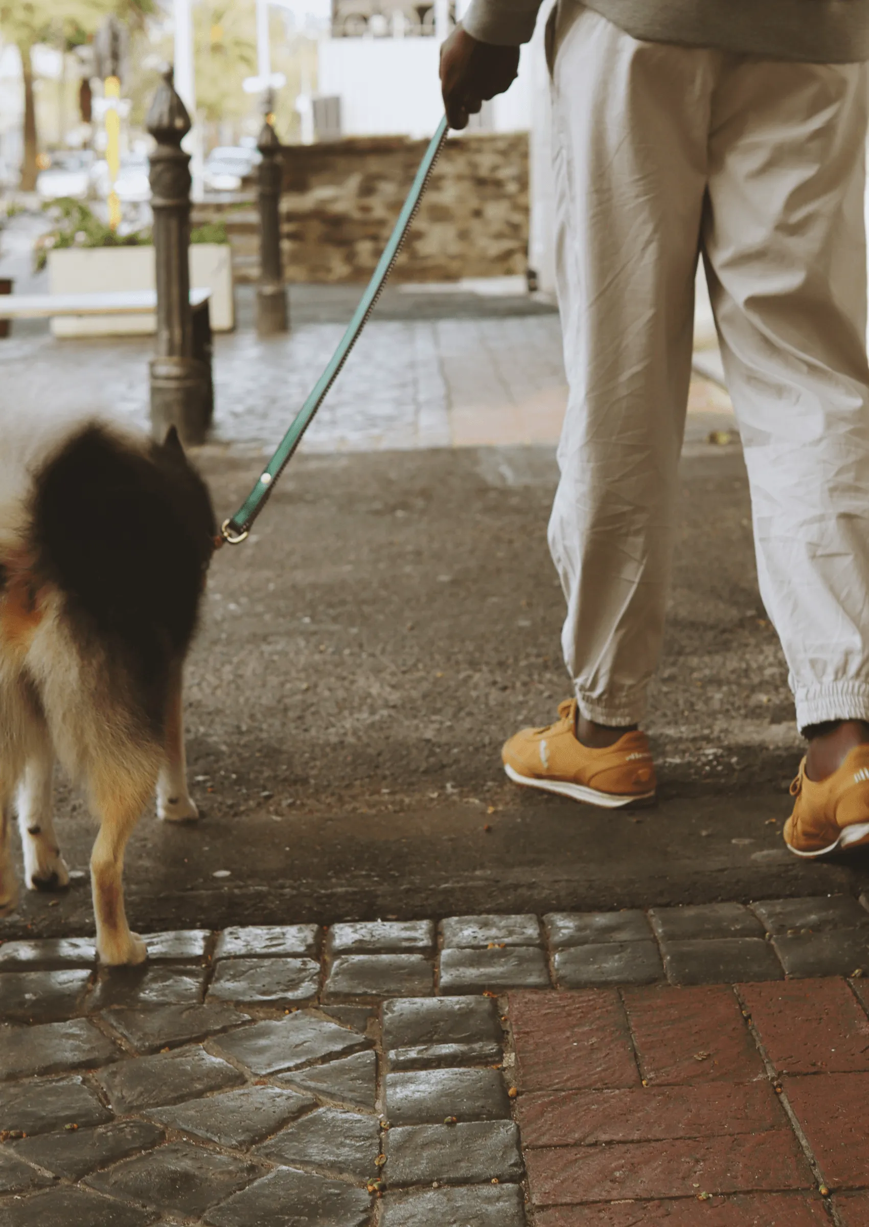Everyday Leather Dog Leash | Green Shady