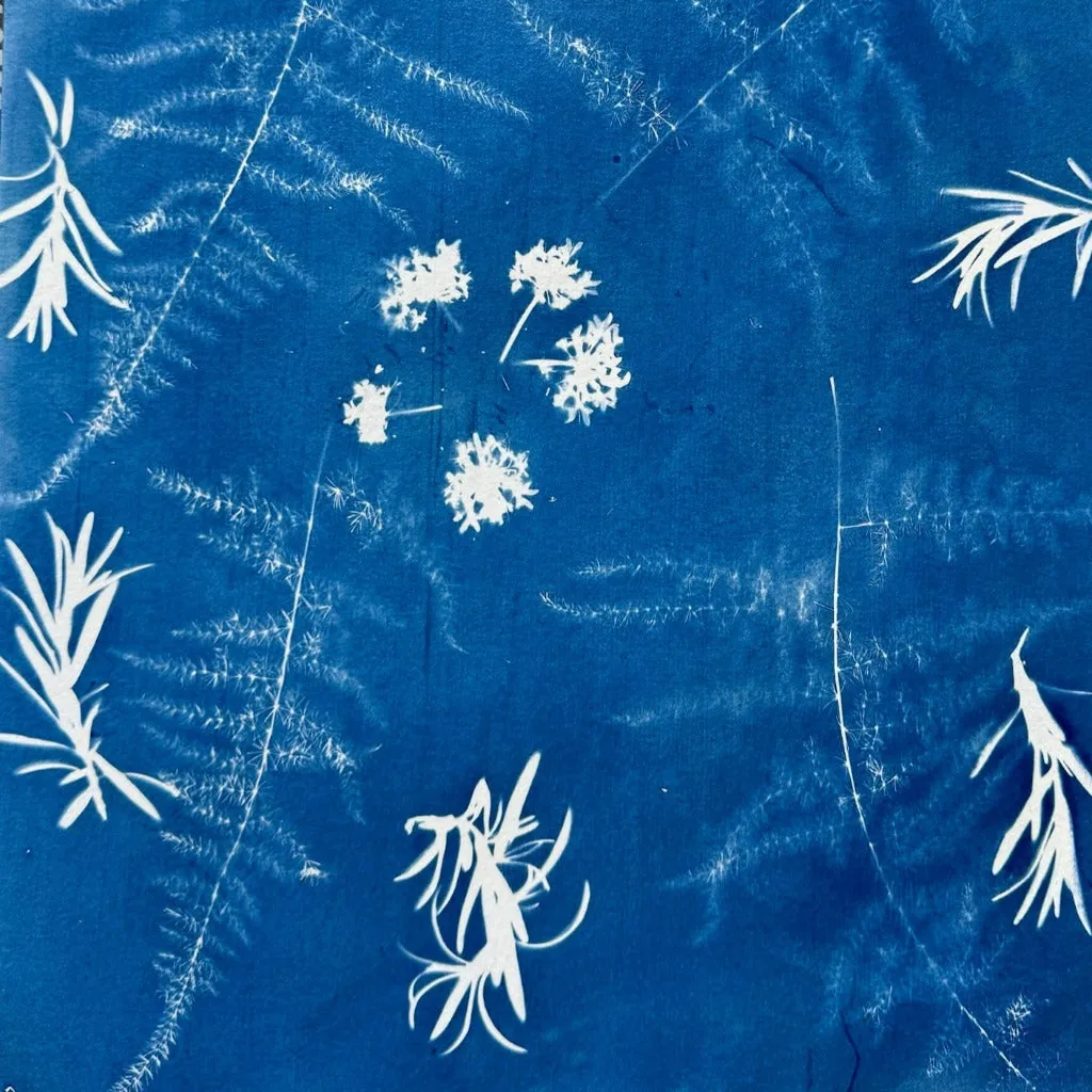 The Art of Indigo: Celebrate the Colour Blue: Saturday 28th June 2025