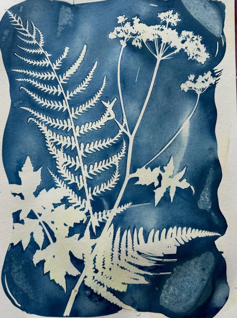The Art of Indigo: Celebrate the Colour Blue: Saturday 28th June 2025